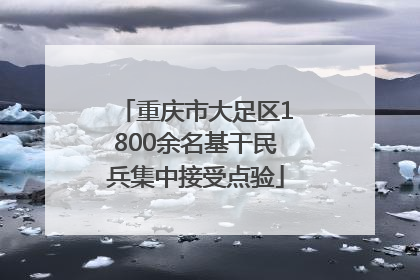 重庆市大足区1800余名基干民兵集中接受点验