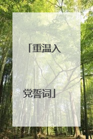 重温入党誓词