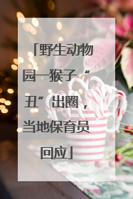 野生动物园一猴子“丑”出圈，当地保育员回应