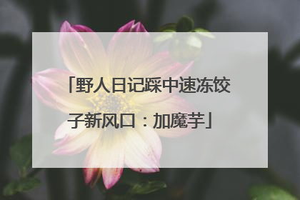 野人日记踩中速冻饺子新风口：加魔芋