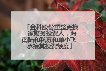 金科股份重整更换一家财务投资人，海南陆和私募和单小飞承接其投资额度
