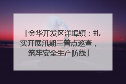 金华开发区洋埠镇：扎实开展汛期三普点巡查，筑牢安全生产防线