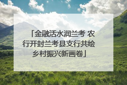 金融活水润兰考 农行开封兰考县支行共绘乡村振兴新画卷