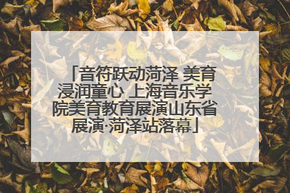 音符跃动菏泽 美育浸润童心 上海音乐学院美育教育展演山东省展演·菏泽站落幕