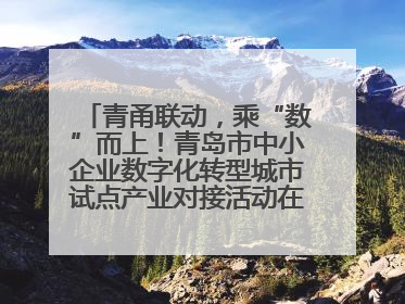 青甬联动，乘“数”而上！青岛市中小企业数字化转型城市试点产业对接活动在宁波开班