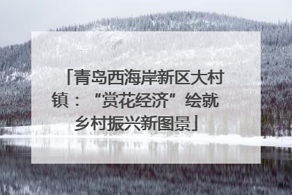 青岛西海岸新区大村镇：“赏花经济”绘就乡村振兴新图景