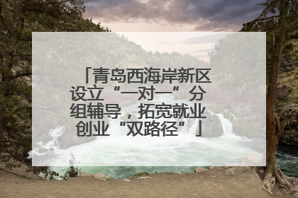 青岛西海岸新区设立“一对一”分组辅导，拓宽就业创业“双路径”