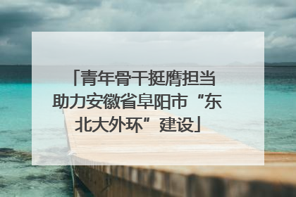 青年骨干挺膺担当 助力安徽省阜阳市“东北大外环”建设