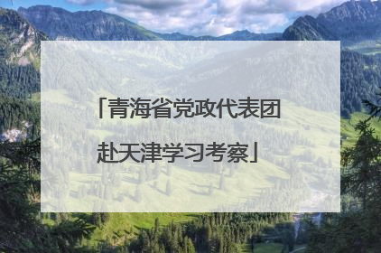 青海省党政代表团赴天津学习考察