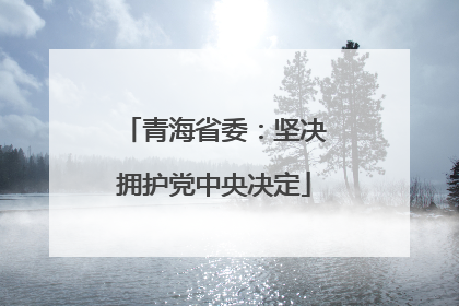 青海省委：坚决拥护党中央决定