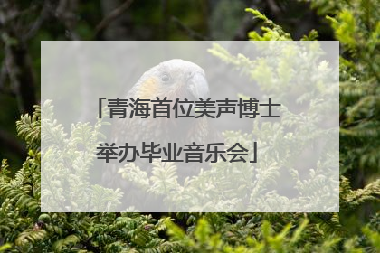 青海首位美声博士举办毕业音乐会