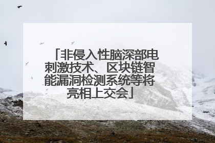 非侵入性脑深部电刺激技术、区块链智能漏洞检测系统等将亮相上交会
