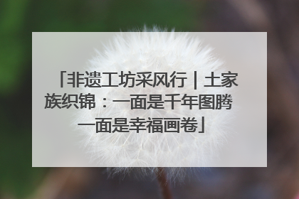 非遗工坊采风行｜土家族织锦：一面是千年图腾 一面是幸福画卷
