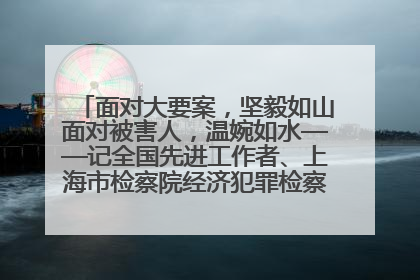 面对大要案，坚毅如山面对被害人，温婉如水——记全国先进工作者、上海市检察院经济犯罪检察部主任马玮玮