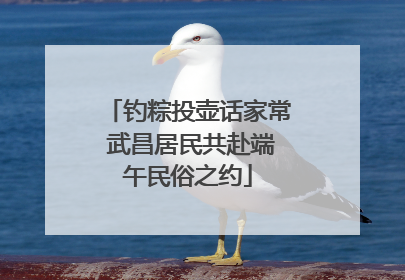钓粽投壶话家常 武昌居民共赴端午民俗之约