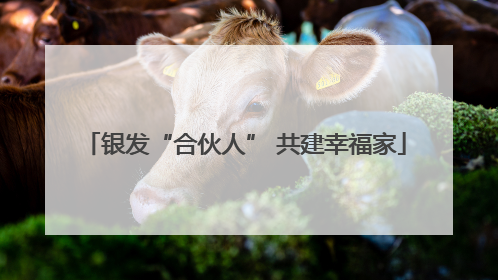 银发“合伙人” 共建幸福家