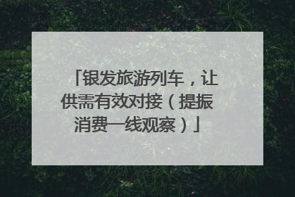 银发旅游列车，让供需有效对接（提振消费一线观察）