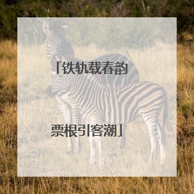 铁轨载春韵 票根引客潮