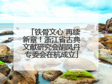 铁骨文心 再续新章！浙江省古典文献研究会胡凤丹专委会在杭成立
