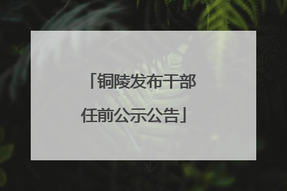 铜陵发布干部任前公示公告