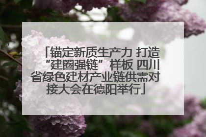 锚定新质生产力 打造“建圈强链”样板 四川省绿色建材产业链供需对接大会在德阳举行