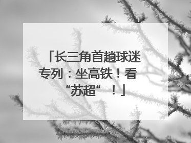长三角首趟球迷专列：坐高铁！看“苏超”！