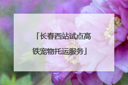 长春西站试点高铁宠物托运服务