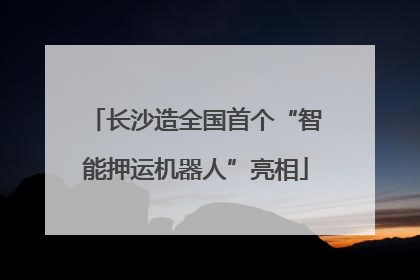 长沙造全国首个“智能押运机器人”亮相
