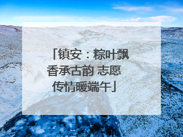 镇安：粽叶飘香承古韵 志愿传情暖端午