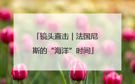 镜头直击｜法国尼斯的“海洋”时间