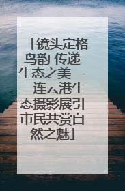 镜头定格鸟韵 传递生态之美——连云港生态摄影展引市民共赏自然之魅