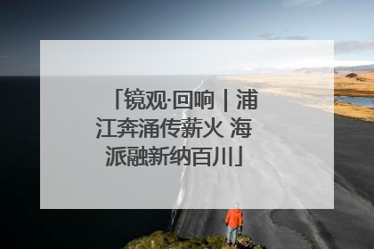 镜观·回响｜浦江奔涌传薪火 海派融新纳百川