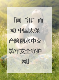 闻“汛”而动 中国太保产险丽水中支筑牢安全守护网