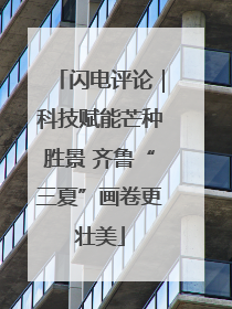 闪电评论｜科技赋能芒种胜景 齐鲁“三夏”画卷更壮美