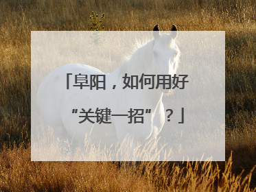 阜阳，如何用好“关键一招”？