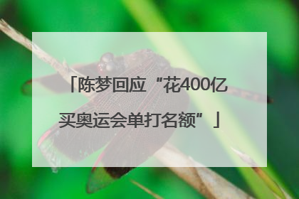 陈梦回应“花400亿买奥运会单打名额”