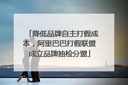 降低品牌自主打假成本，阿里巴巴打假联盟成立品牌抽检分盟