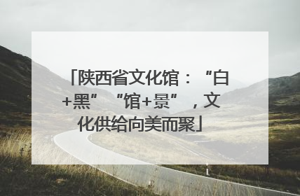 陕西省文化馆：“白+黑”“馆+景”，文化供给向美而聚