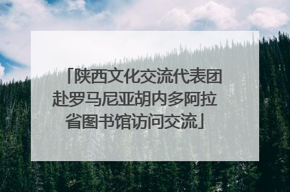 陕西文化交流代表团赴罗马尼亚胡内多阿拉省图书馆访问交流