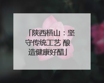 陕西横山：坚守传统工艺 酿造健康好醋