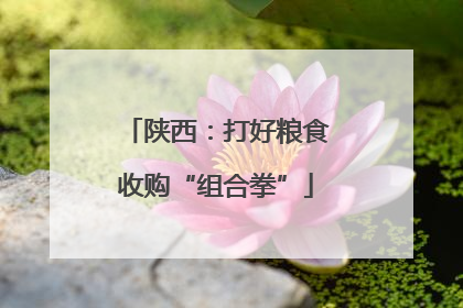 陕西：打好粮食收购“组合拳”