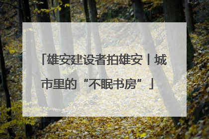 雄安建设者拍雄安丨城市里的“不眠书房”