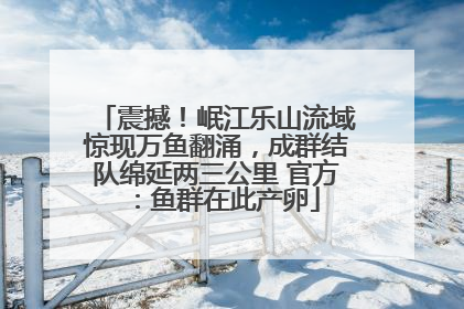 震撼！岷江乐山流域惊现万鱼翻涌，成群结队绵延两三公里 官方：鱼群在此产卵