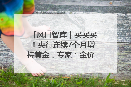 风口智库｜买买买！央行连续7个月增持黄金，专家：金价或仍易涨难跌