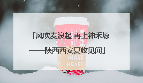 风吹麦浪起 再上神禾塬——陕西西安夏收见闻