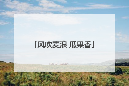 风吹麦浪 瓜果香