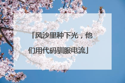 风沙里种下光，他们用代码驯服电流