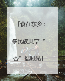 食在东乡：多民族共享“杏”福时光
