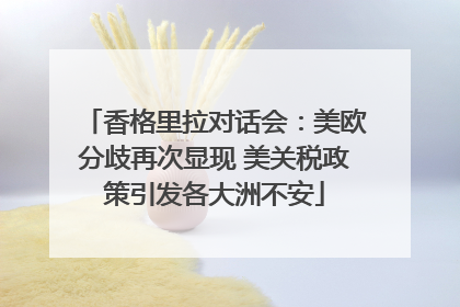 香格里拉对话会：美欧分歧再次显现 美关税政策引发各大洲不安