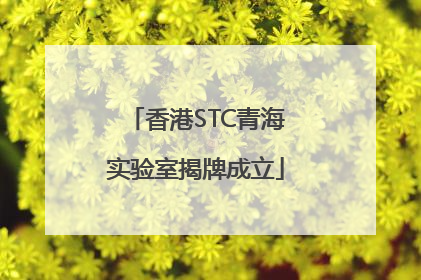 香港STC青海实验室揭牌成立
